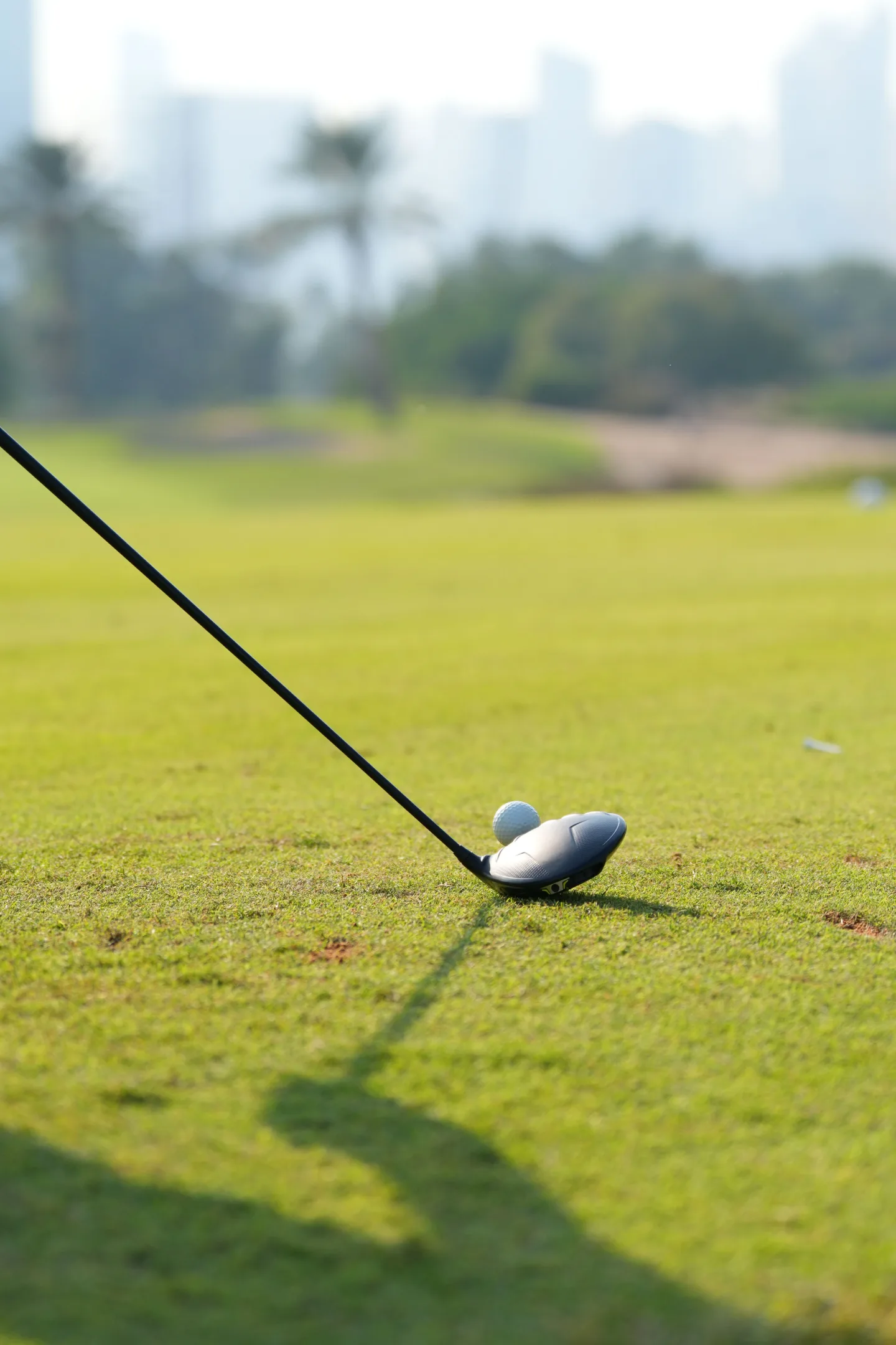 Driver resting behind a golf ball on a sunny course